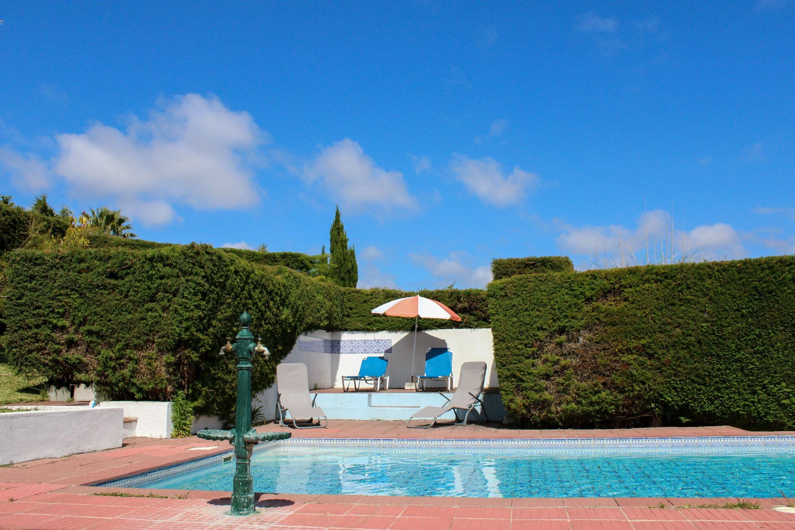 Wavin' Trees. Pool and Garden